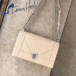 Dior Bag 008